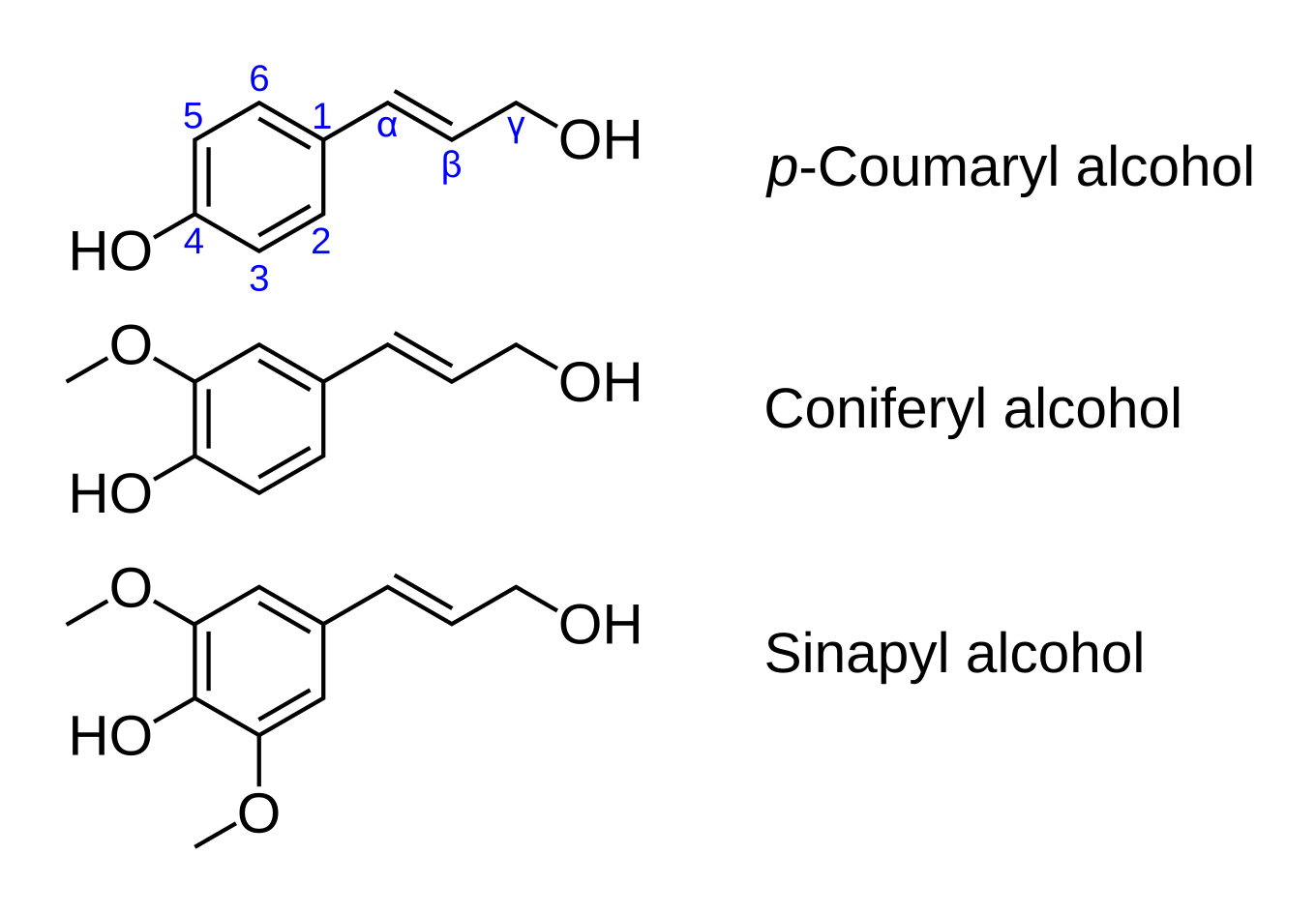 The three monolignols, p-coumaryl, coniferyl and sinapyl alcohol